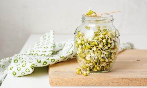 Idandamine kodustes tingimustes